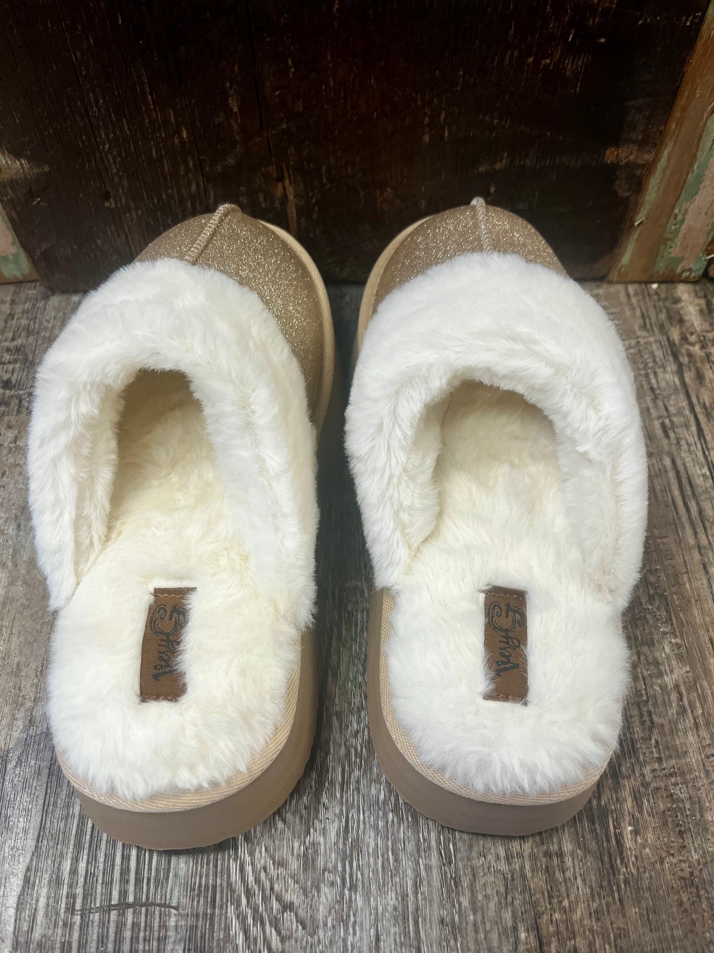 Delaney Slides