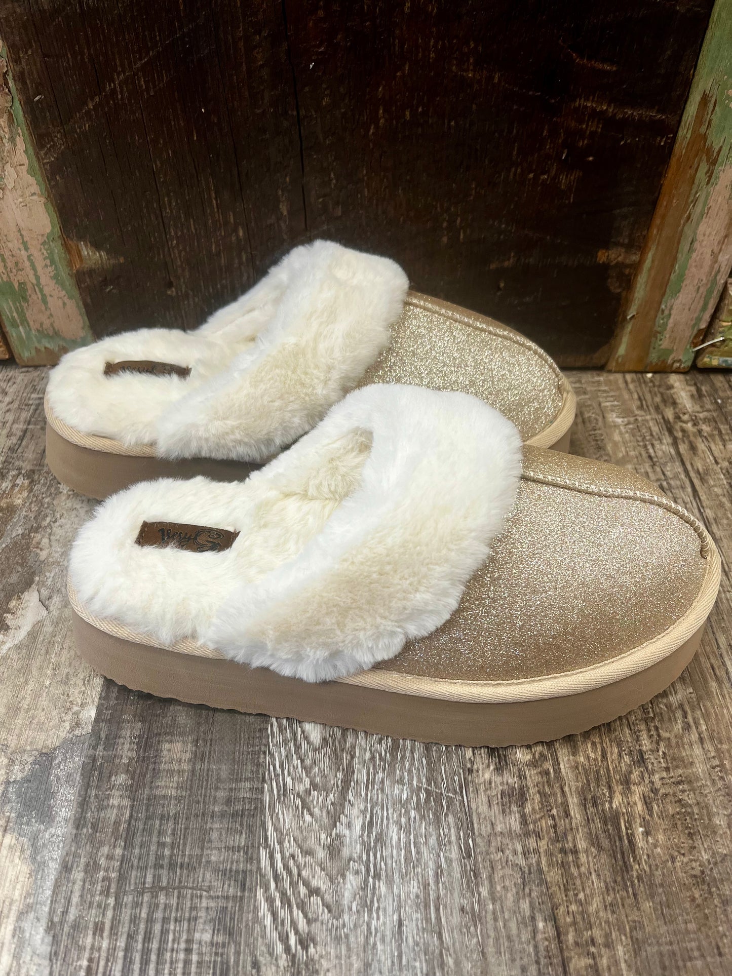Delaney Slides