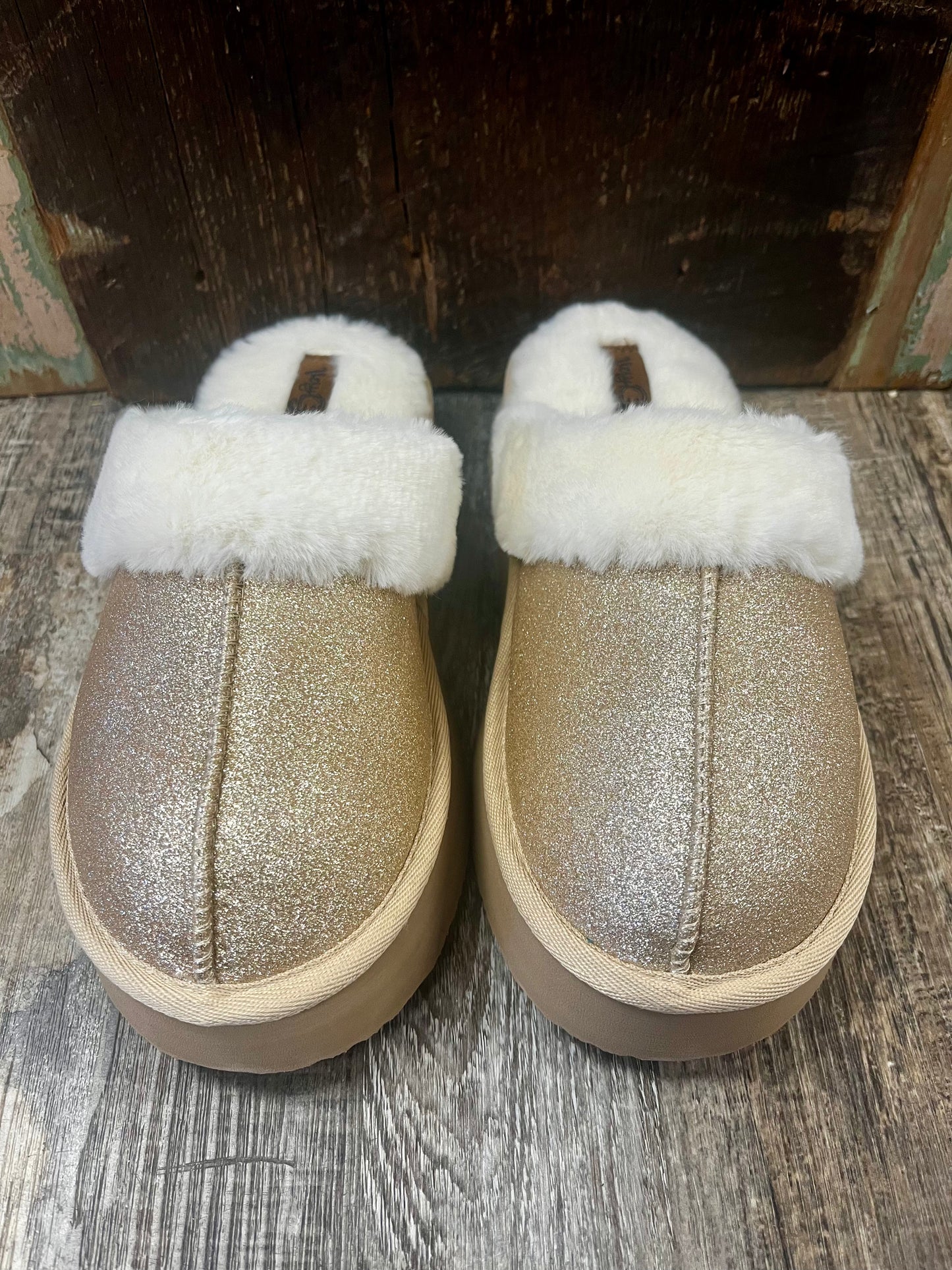 Delaney Slides