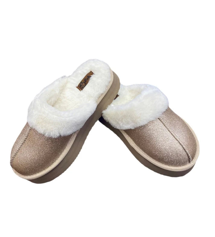 Delaney Slides