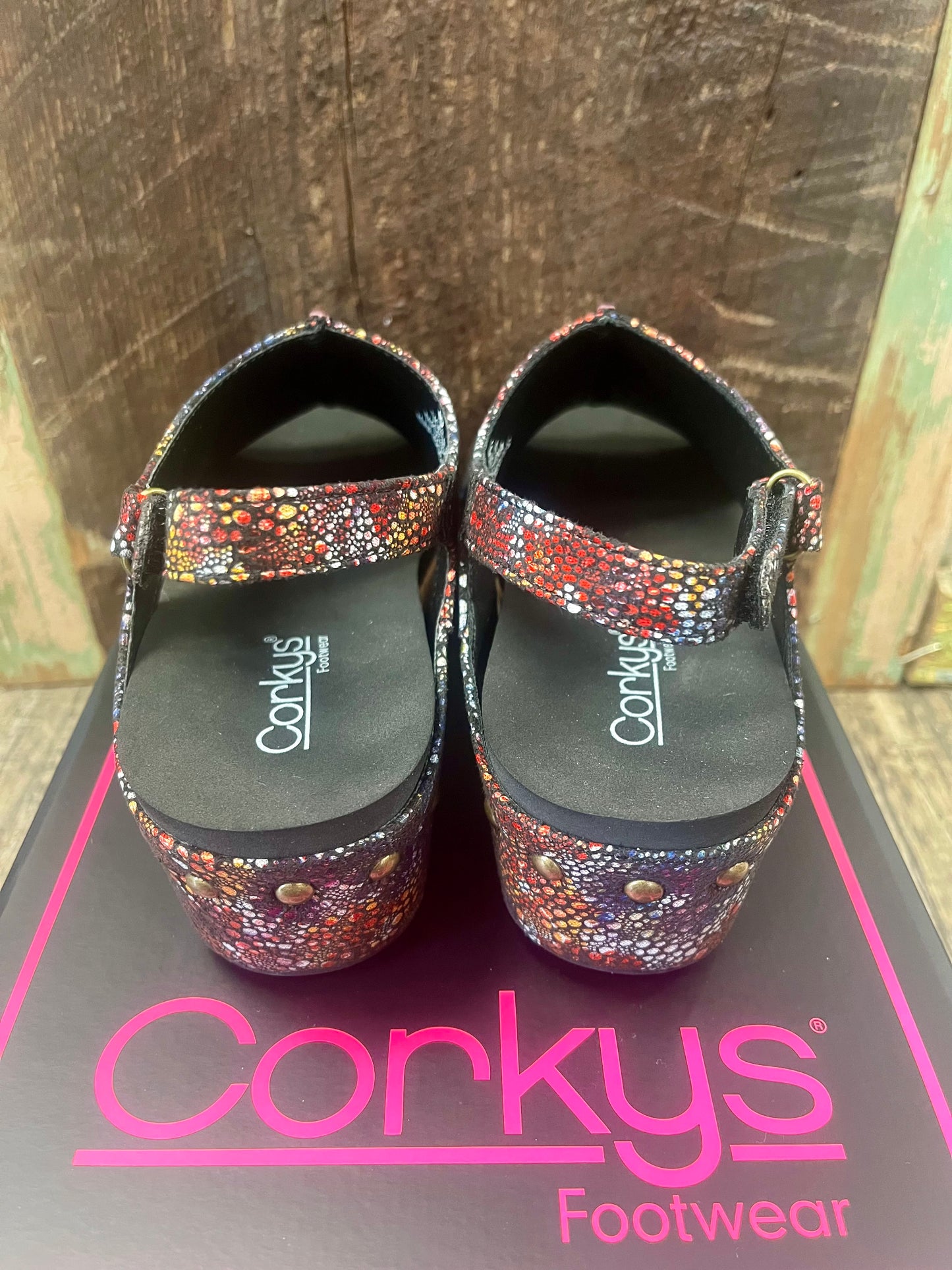 Corky's Volta 2