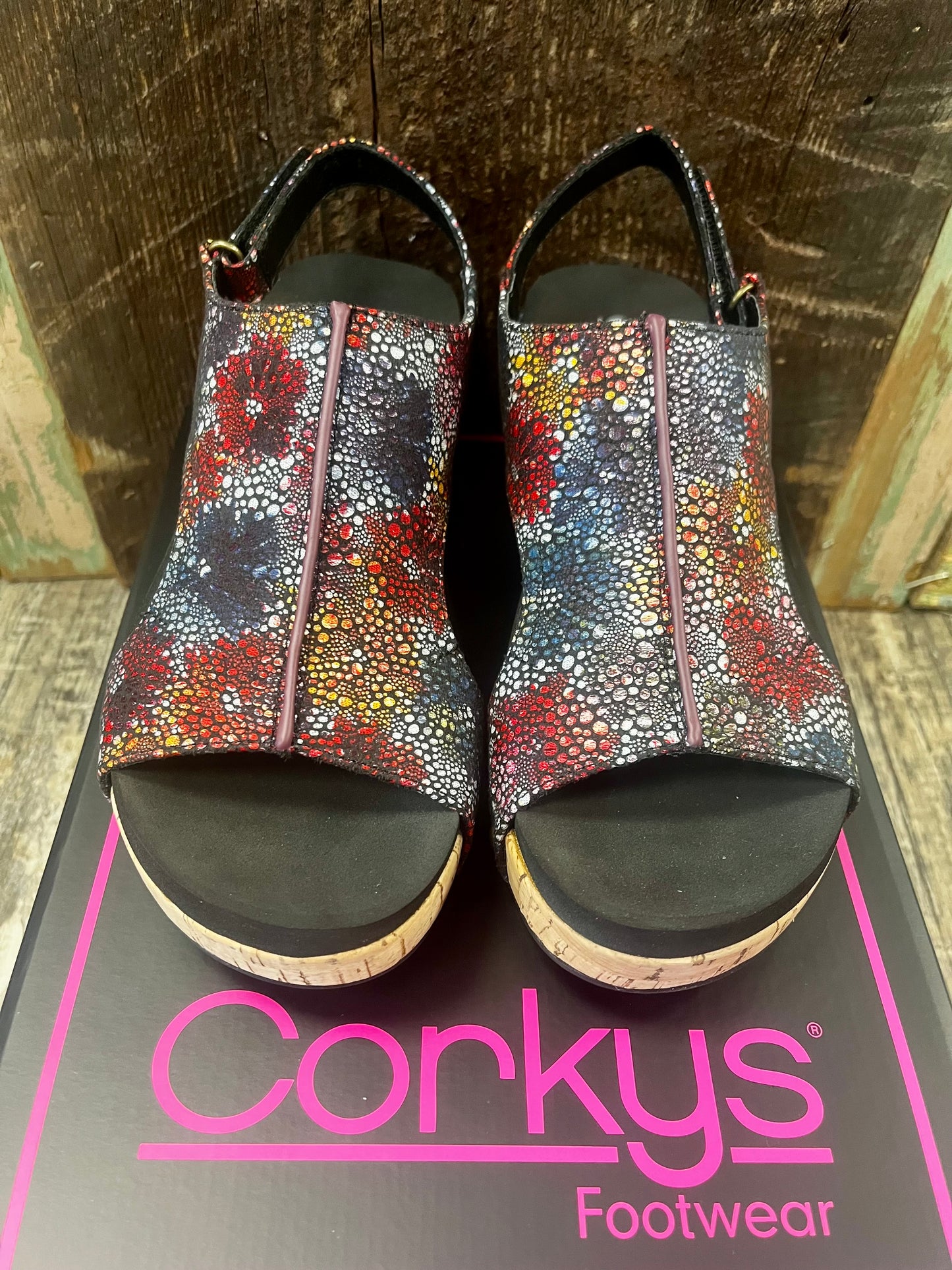 Corky's Volta 2