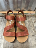 Shayne Wedge