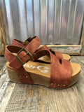 Shayne Wedge